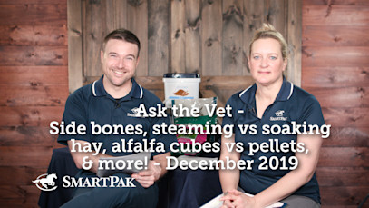 Ask the Vet – Sidebones, steaming vs soaking hay, alfalfa cubes vs pellets, & more! – December 2019