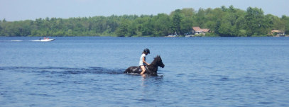 Summer Fun! Swimming with Horses