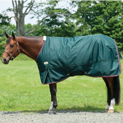 A bay horse wearing the Big D Devlyn Heavy Turnout Blanket