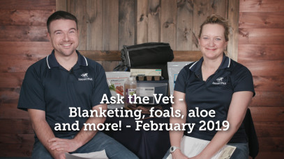 Ask the Vet – Blanketing, foals, aloe & more! – February 2019