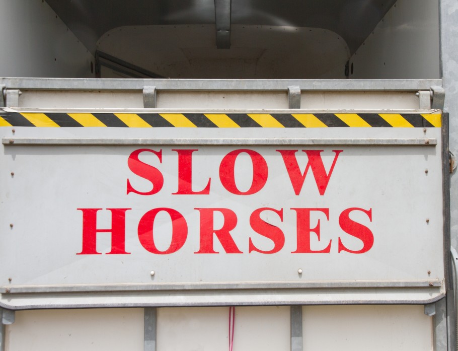 Rear view of a horse trailer with a sign reading "slow horses."