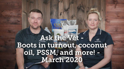 Ask the Vet – Boots in turnout, coconut oil, PSSM, and more! – March 2020