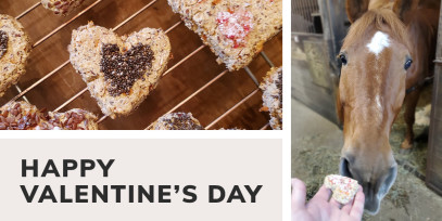 SmartPak Recipe: Homemade Valentine’s Day Horse Hearts