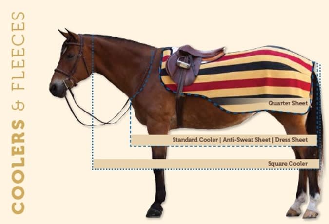 Horse cooler, fleece, and sheet examples on diagram