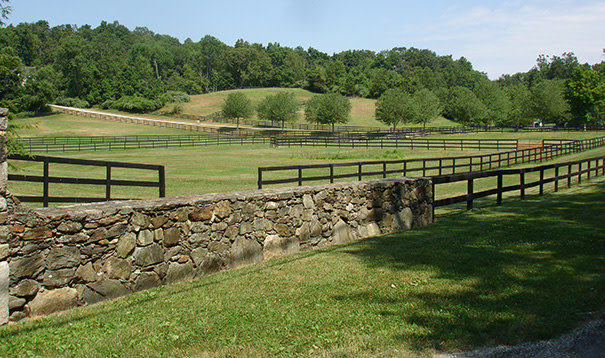 Rolling green hills of a beautiful horse property.