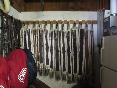 Hunter jumper girths hanging on the tack room wall organized by size.