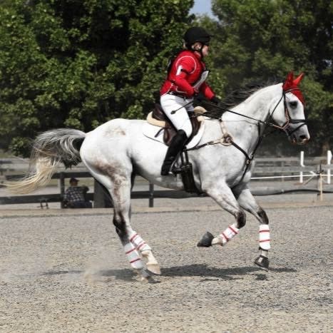 SmartPaker Supplement Review: 4CTYE™ Epiitalis® Forte Horse Gel