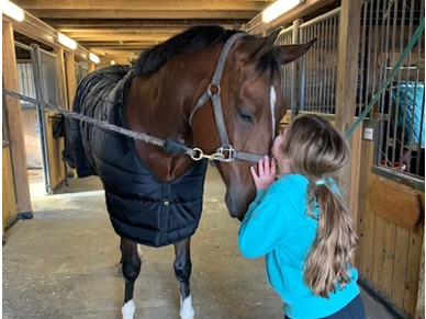 Moving Barns: The Search for "Home" 