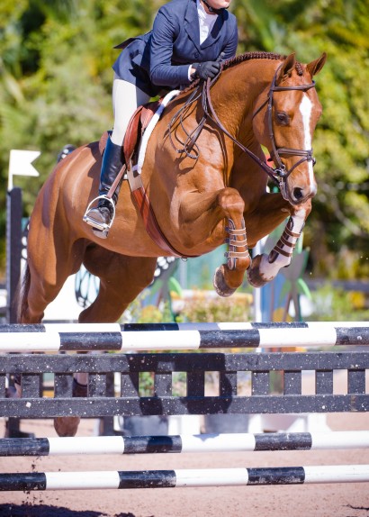 Equitation horse and rider jumping at a show.