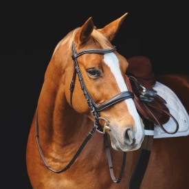 Nantucket ergonomic english bridle for horses by smartpak