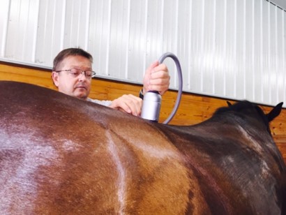A veterinarian administering shockwave therapy to a horse's back.