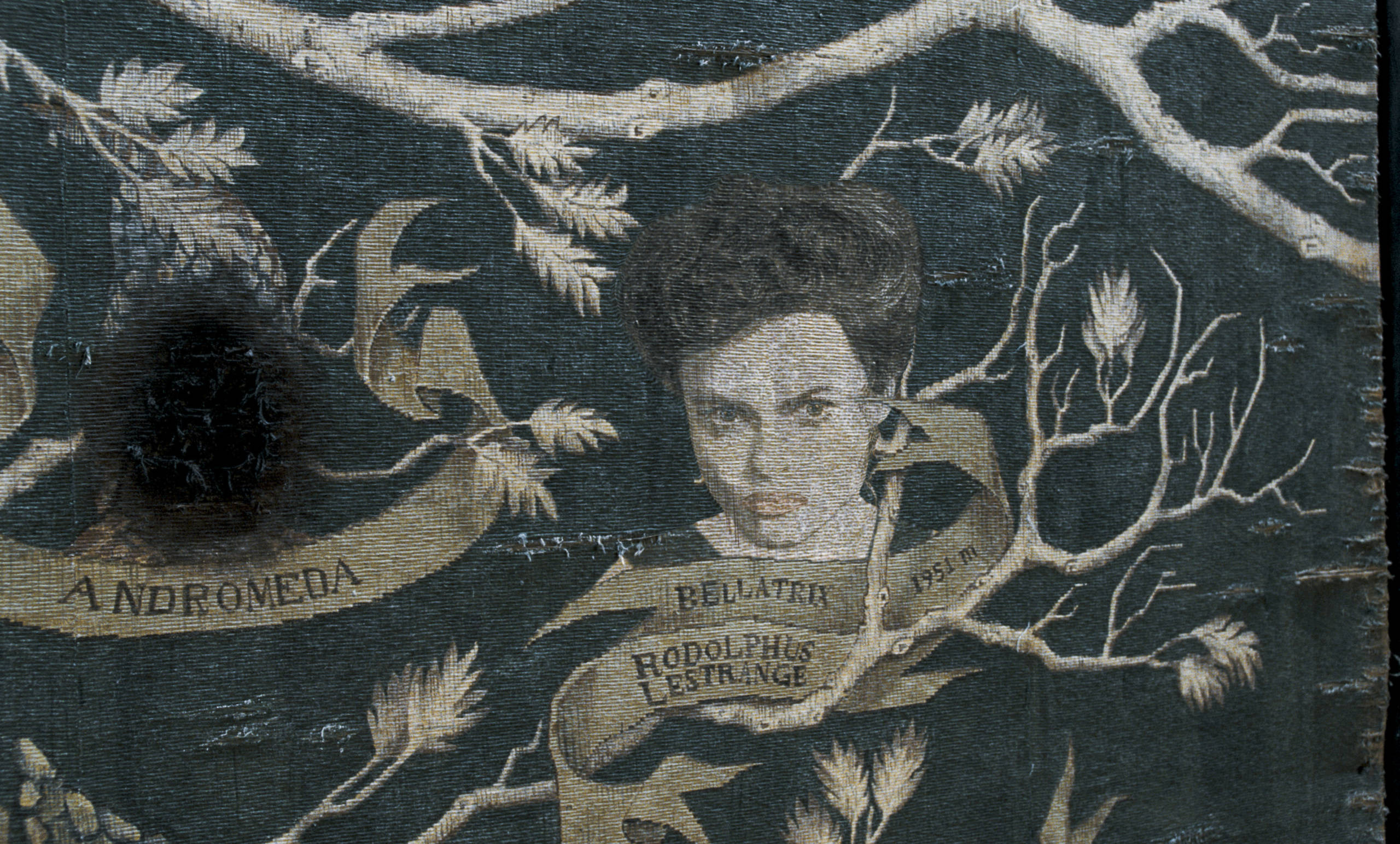 WB F5 Bellatrix Black Tapestry Order of Phoenix FX-00358r