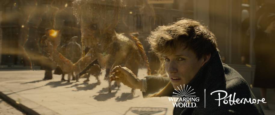 Newt Scamander in Fantastic Beasts: The Crimes of Grindelwald