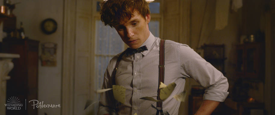 Newt Scamander from the Fantastic Beasts: Crimes of Grindelwald trailer