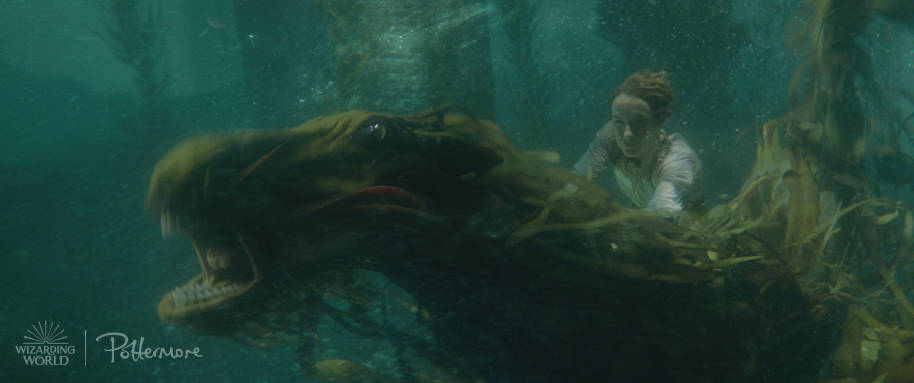 Newt underwater from the Fantastic Beasts: Crimes of Grindelwald trailer