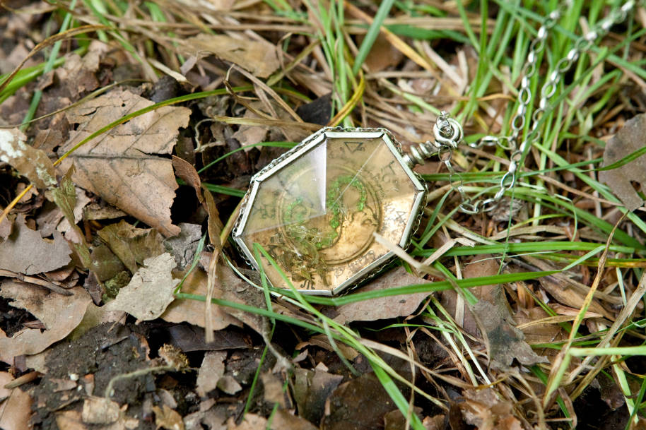 Slytherin's locket lies on the floor among grass and dead leaves.