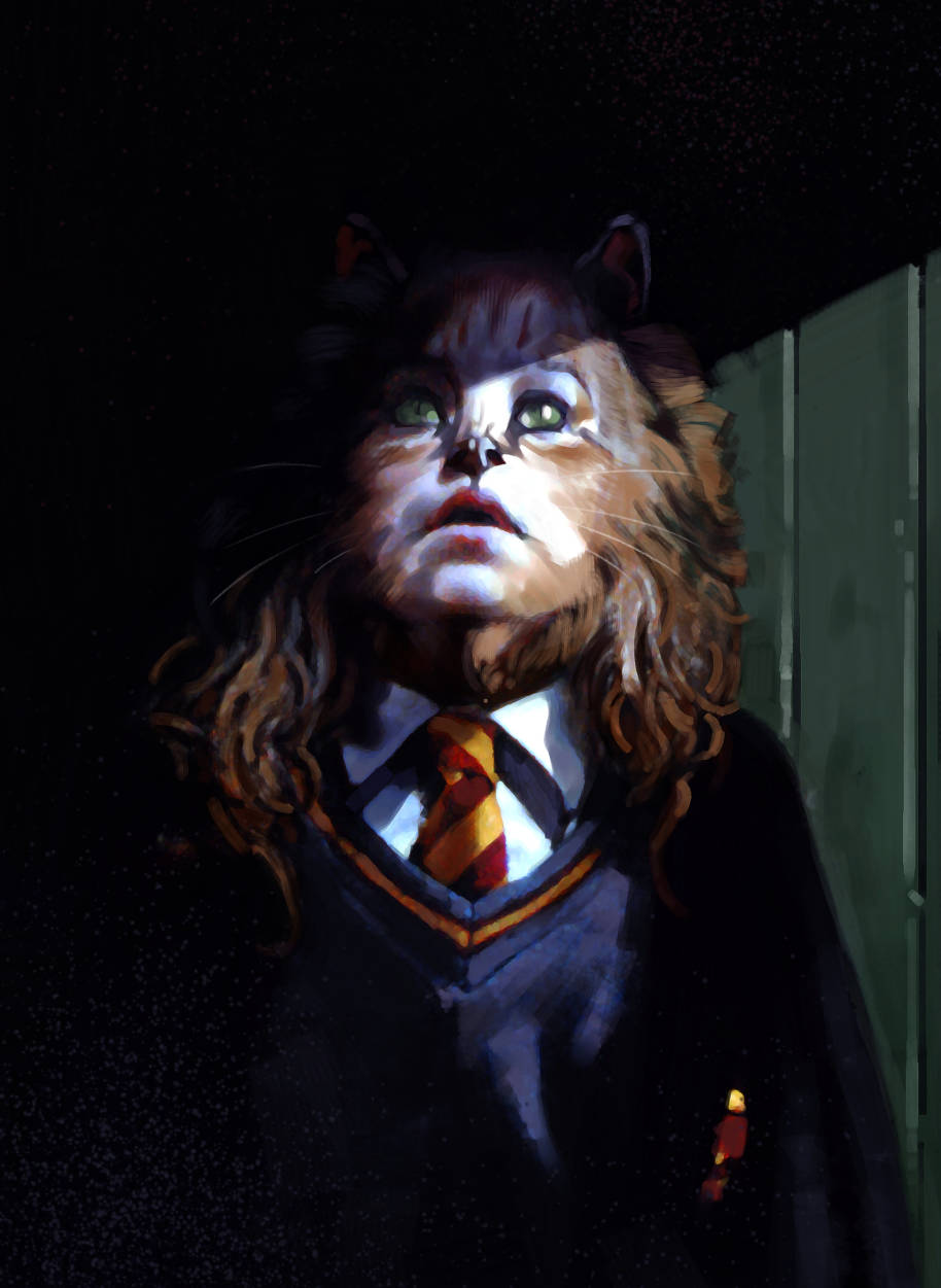 An illustration of Hermione after taking Polyjuice Potion of a cat 