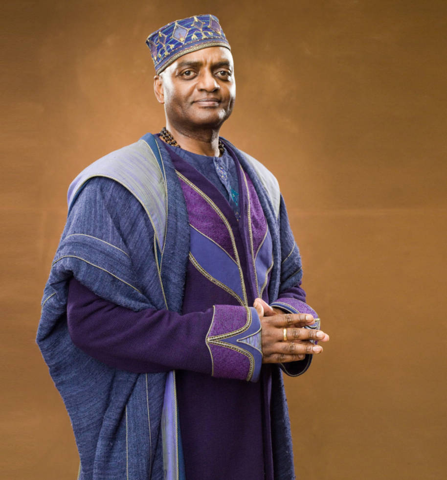 Kingsley Shacklebolt in some colourful robes from the Order of the Pheonix 