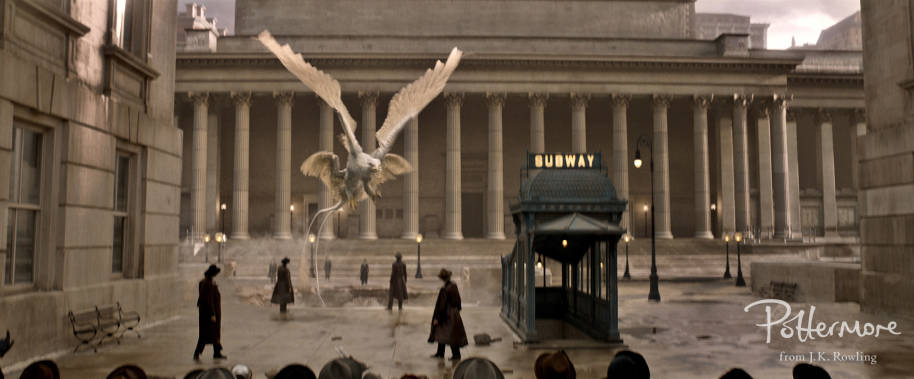 A Thunderbird in Fantastic Beasts and Where to Find Them