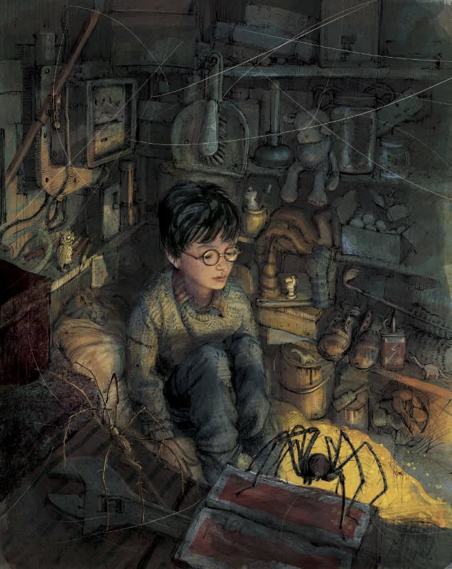 Harry Potter by Jim Kay