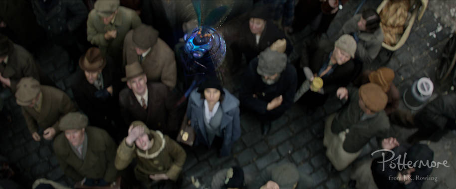 Billywig in Fantastic Beasts and Where to Find Them