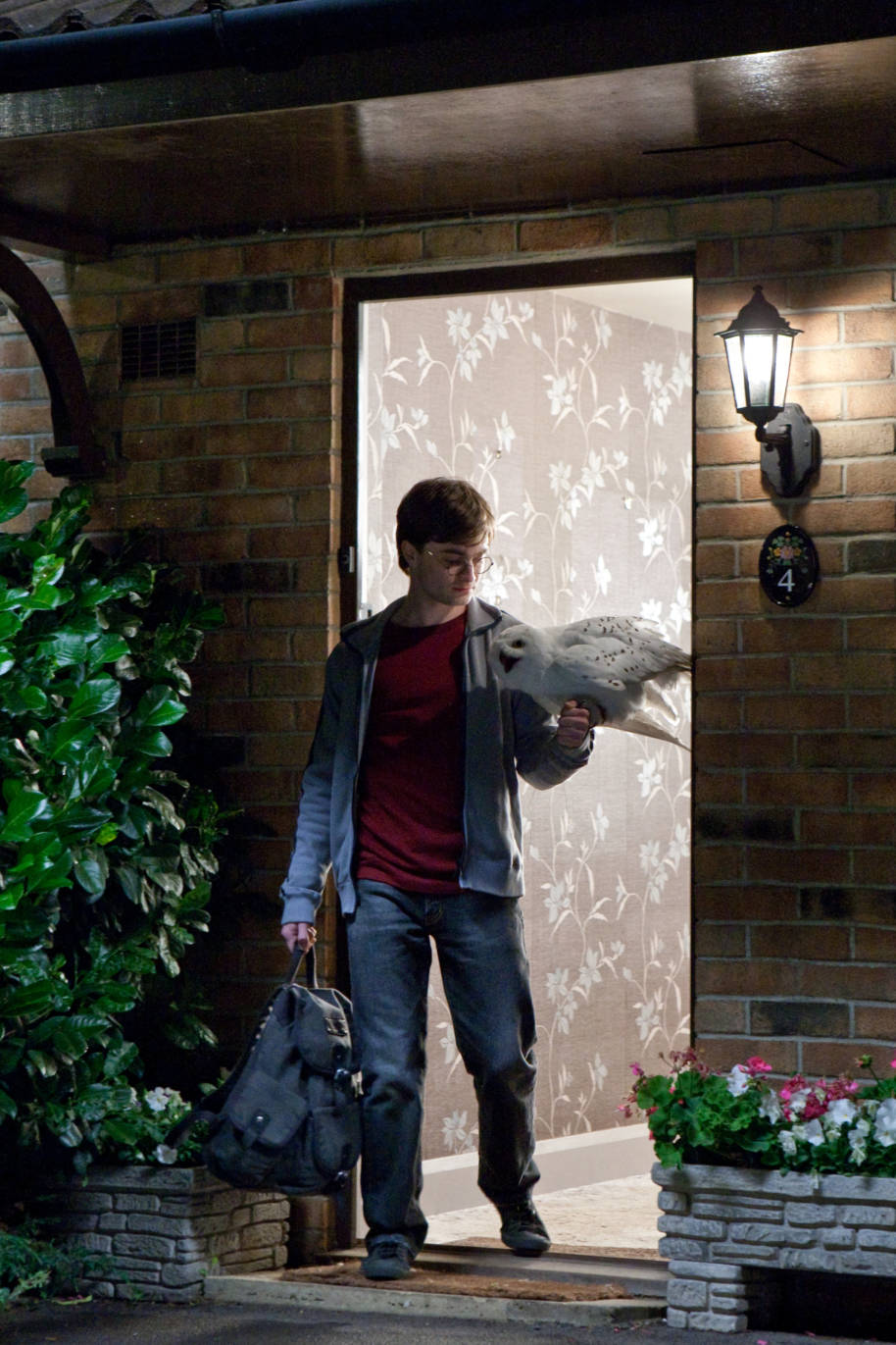 Harry and Hedwig leaving Privet Drive for the last time 