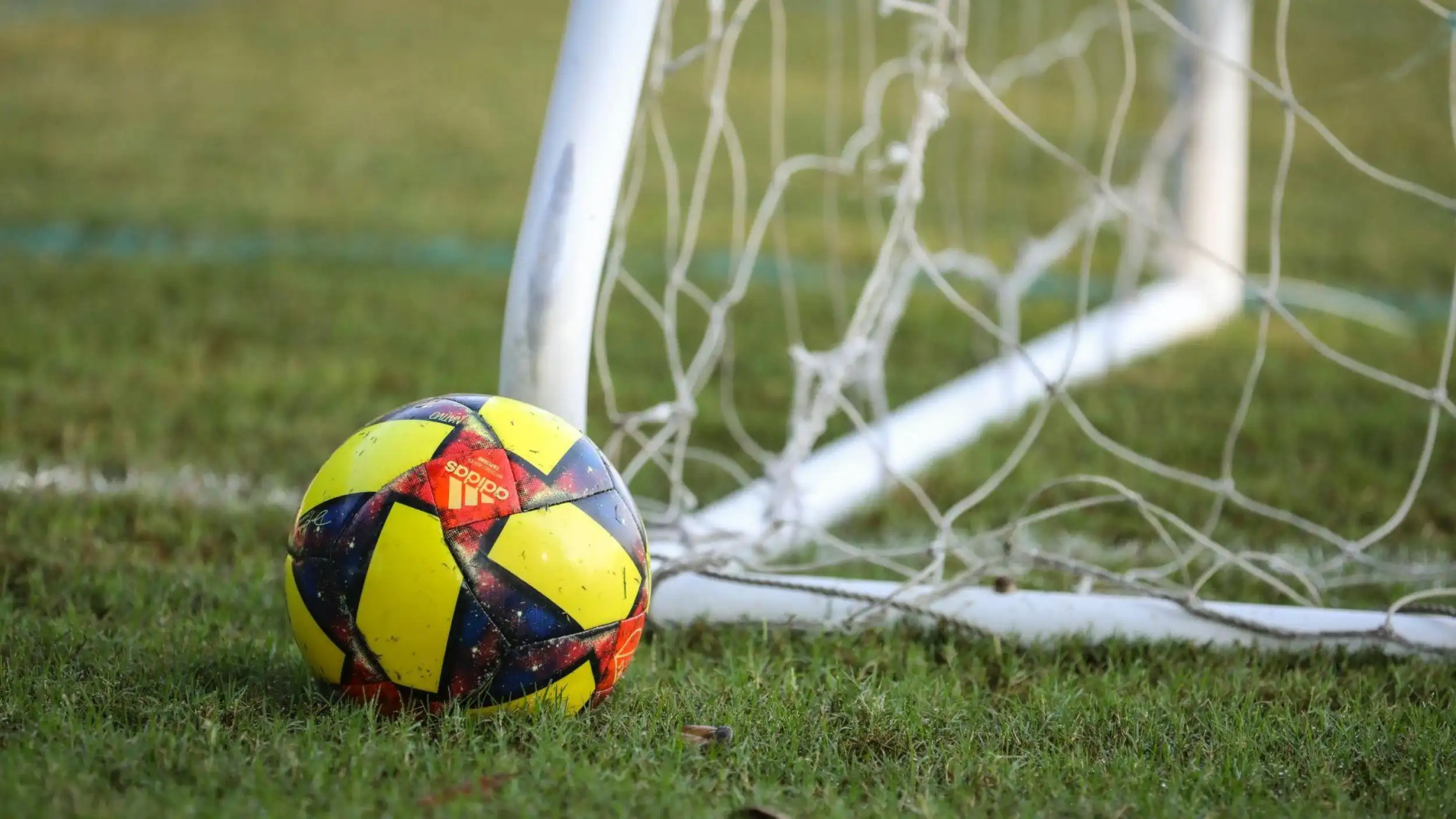 Accessing Community Sports & Leisure Facilities
Accessing Community Sports & Leisure Facilities