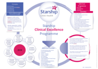 image of clinical excellence program image of clinical excellence program