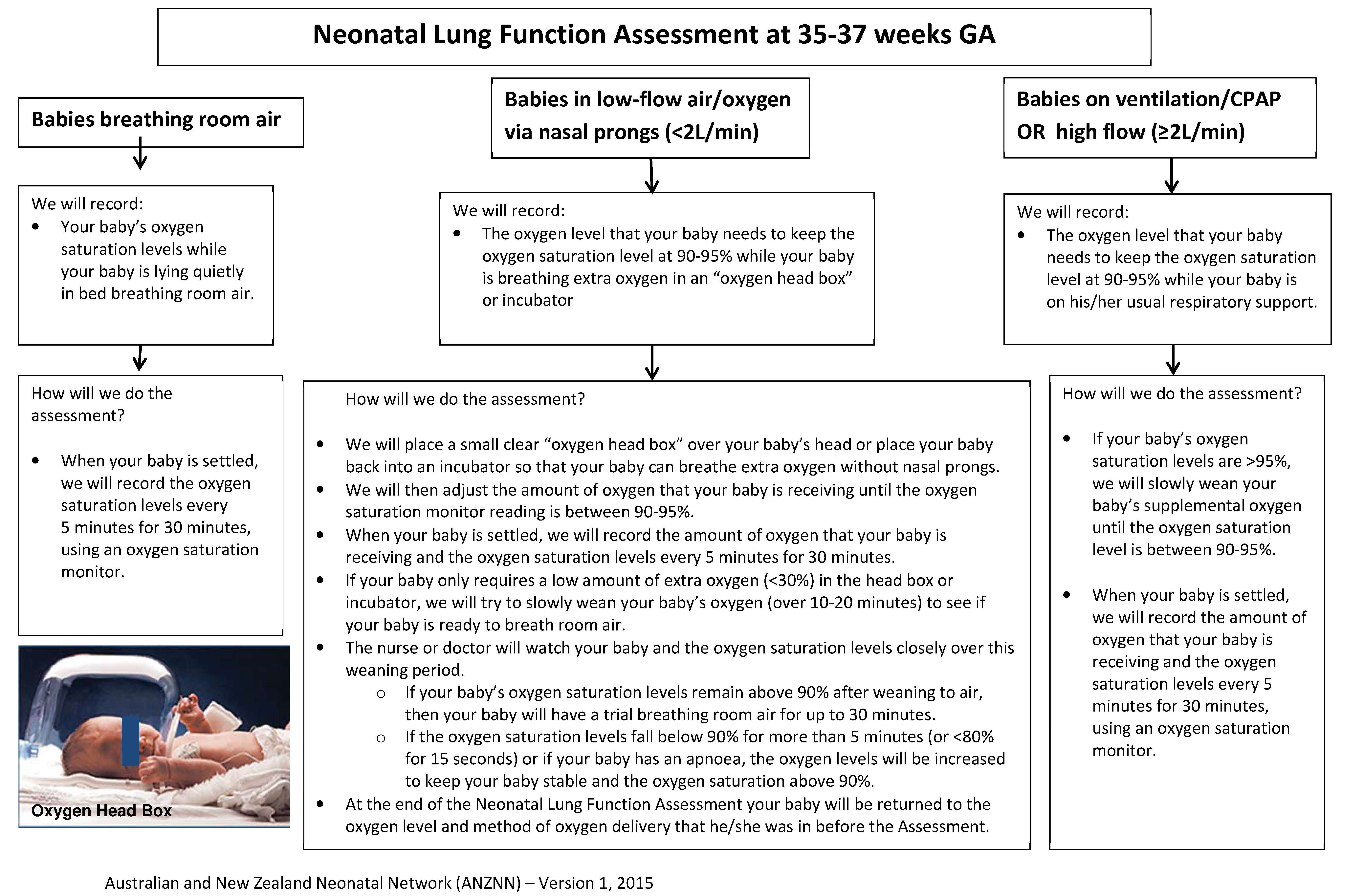 Lung function assessment