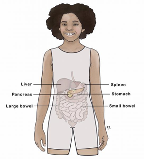 what is insulin what is insulin