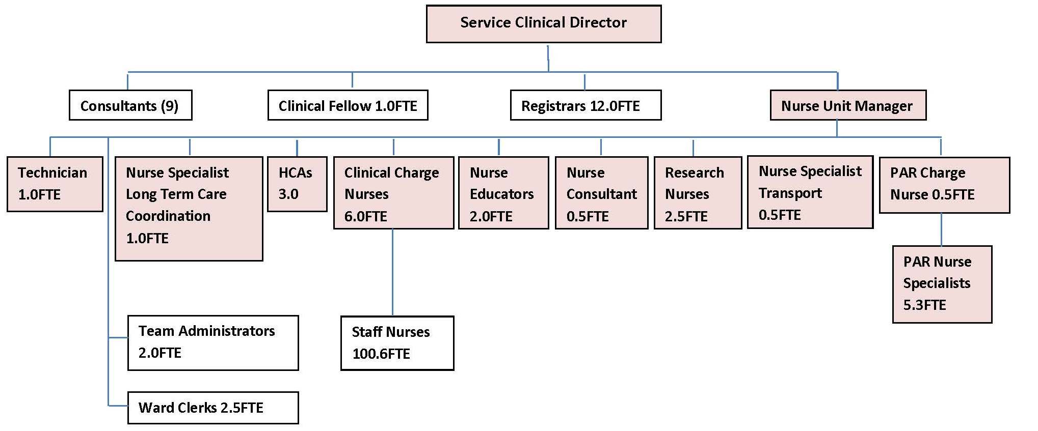 PICU Nursing structure PICU Nursing structure