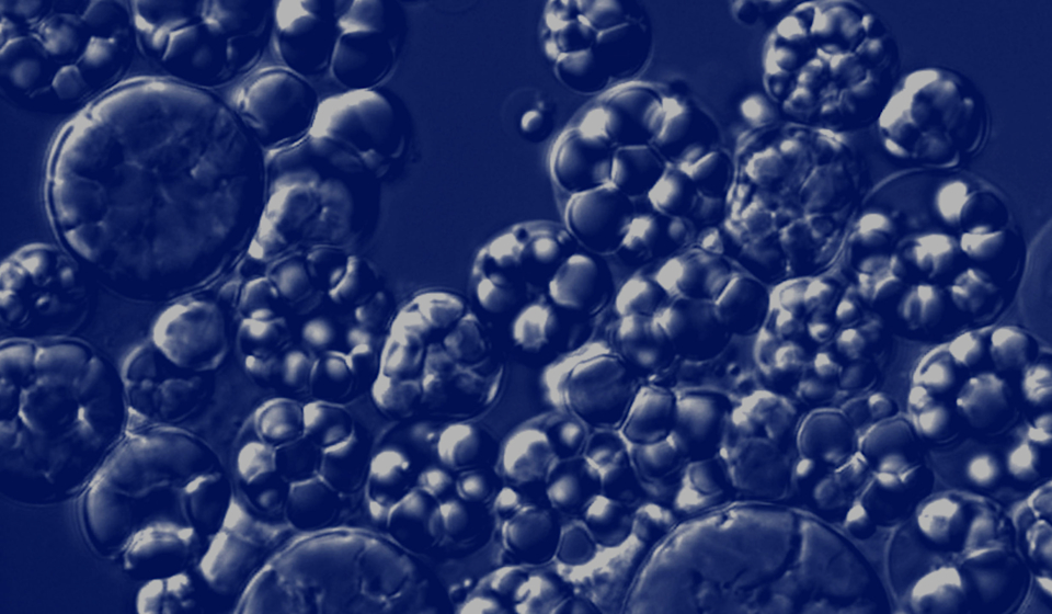 5 Steps We're Taking Towards More Sustainable Packaging