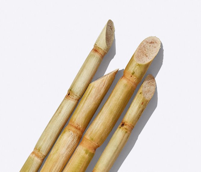 PDP-EP-Ingredients-Secondary-Fermented-Sugarcane