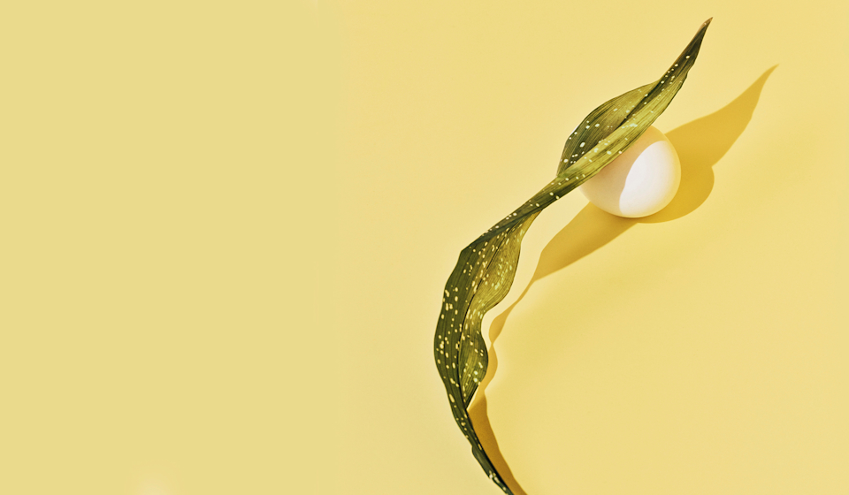 12 Nutrients to Look for in a Prenatal Vitamin