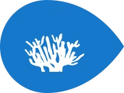 Ícono de esponja Ícono de esponja