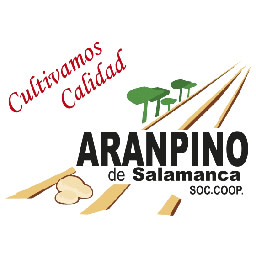 Aranpino-logo-partners
