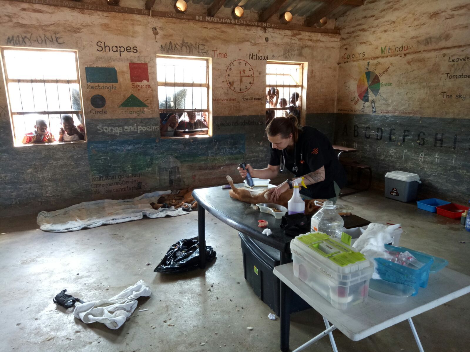 Sightseeing and Sterilisations: Vet Nurse Volunteering in Malawi