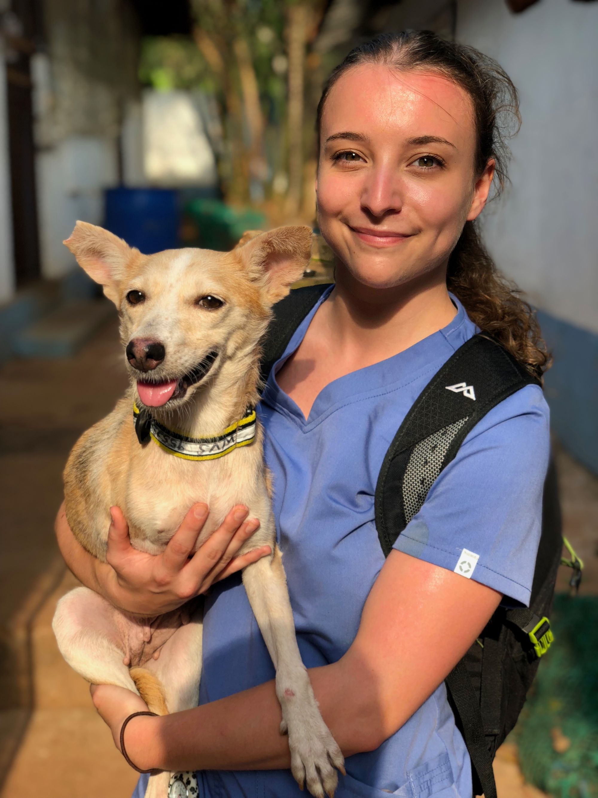 Train with us in India: A veterinary student from RVC's experience