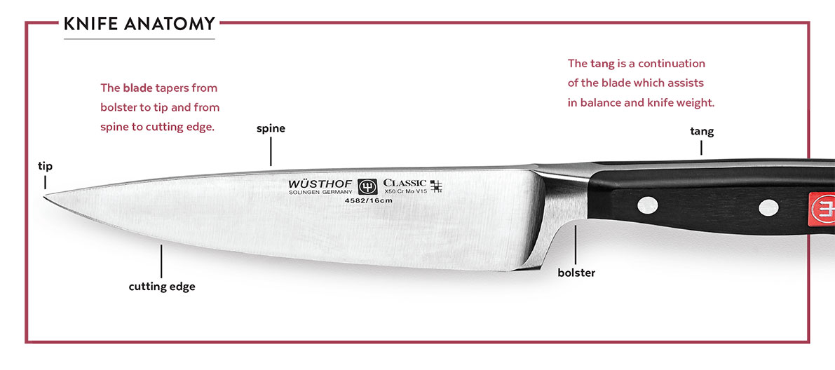 Article-How-to-Choose-a-Chefs-Knife-Anatomy