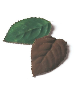 Tips-How-to-Make-Chocolate-Leaves