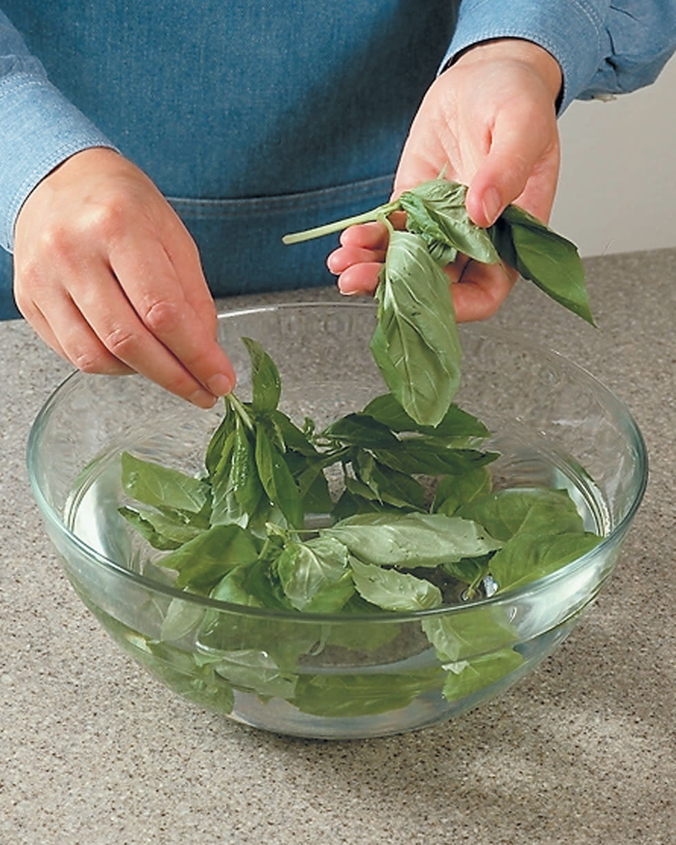 Tips-How-to-Revive-Wilted-Basil