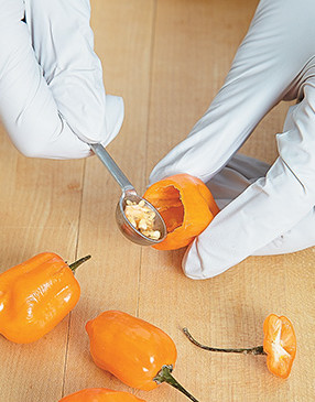 To avoid unwanted skin contact, wear gloves, and use a &frac14; teaspoon measure to remove chile seeds.
