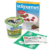 Yogurt starters for making yogurt at home