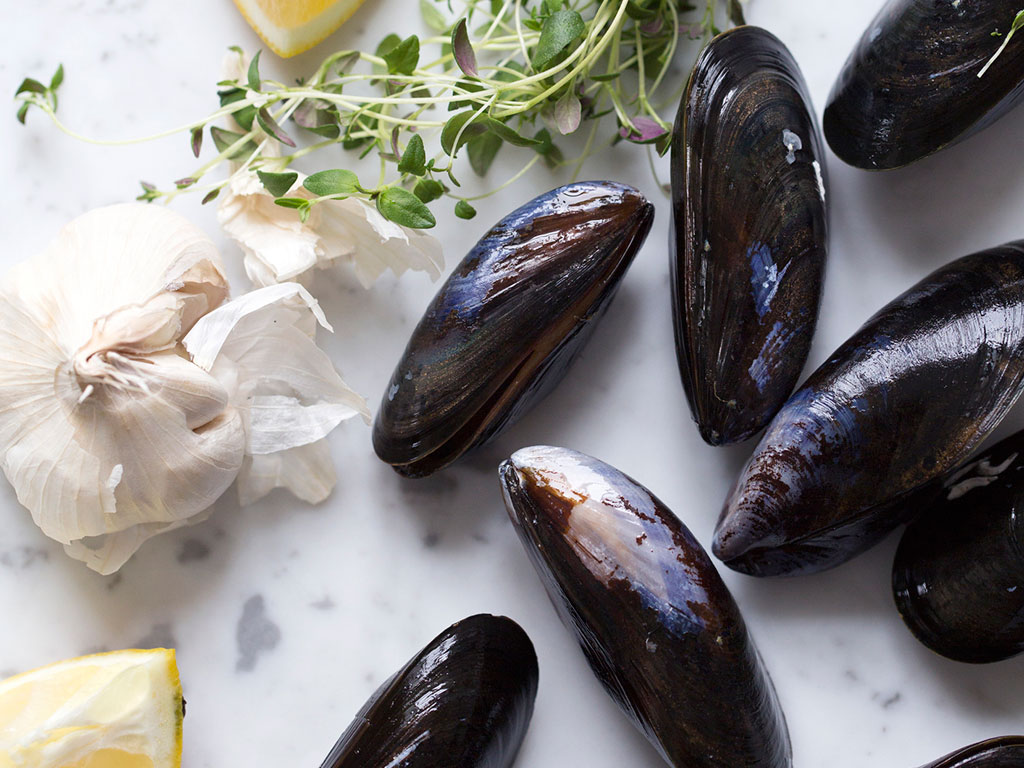 Why and How You Should Eat Mussels | How to Store and Clean Mussels for Cooking