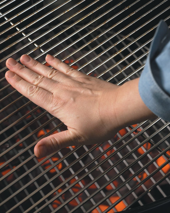 How to Check the Temperature of Your Grill Without a Thermometer