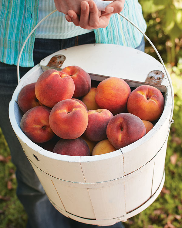 How to Choose the Ripest Peaches