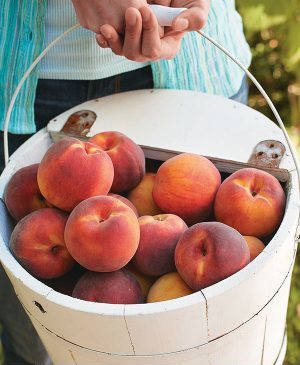 How to Store Fresh Peaches