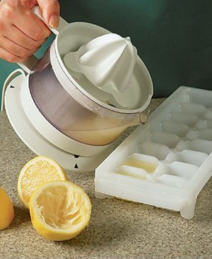 How to Freeze Fresh Lemon Juice & Slices to Reduce Waste
