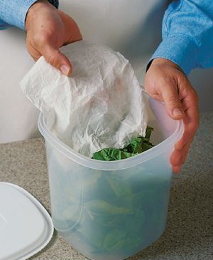 The Best Way to Store Fresh Spinach
