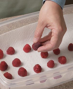 How to Store Fresh Berries to Preserve Freshness